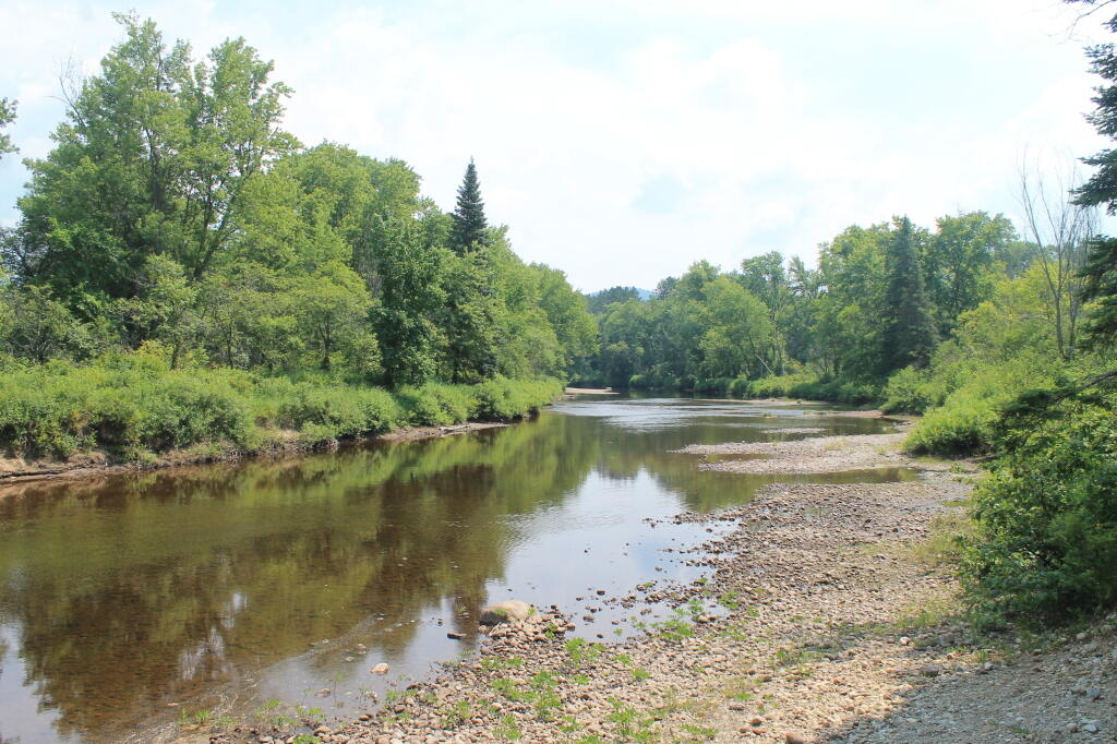 Photo: Fairly Dry East Branch