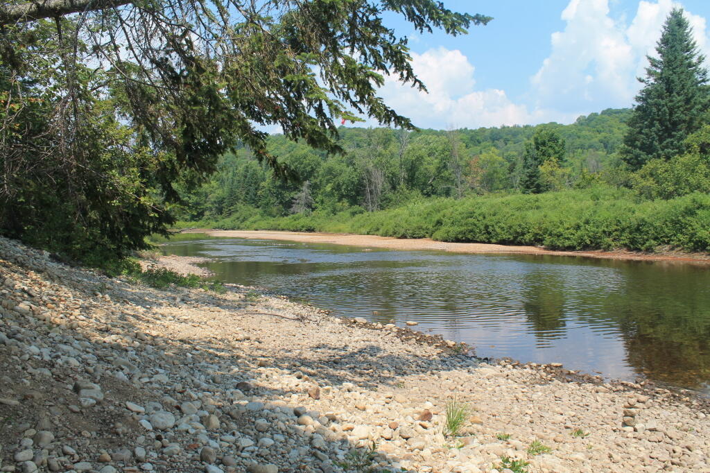 Photo: Dry Shoreline Photo: Dry Shoreline
