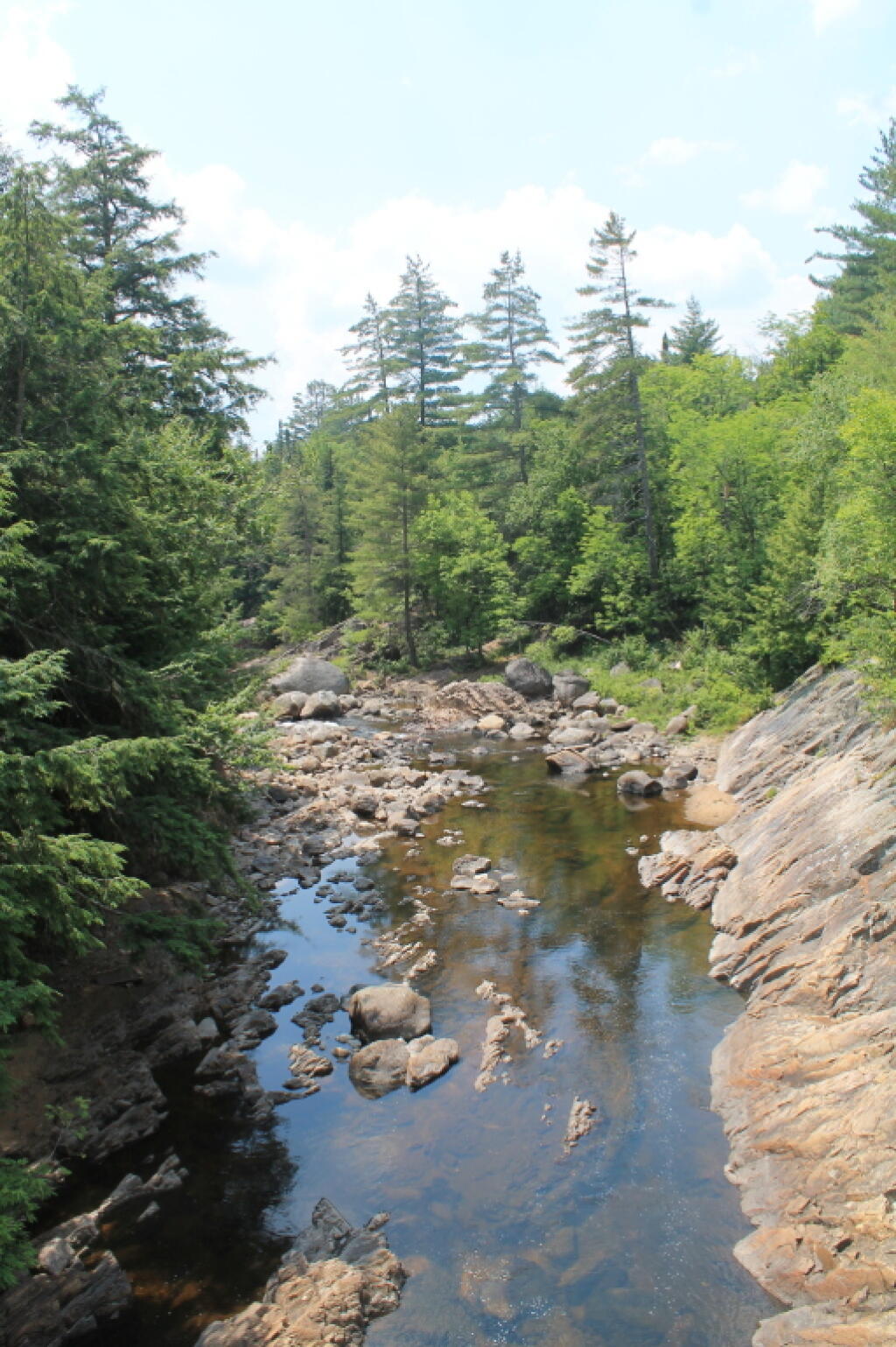 Photo: Griffin Rapids Photo: Griffin Rapids