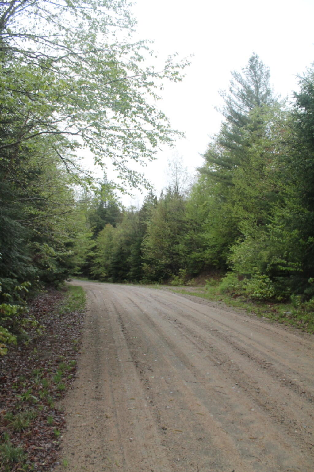 Photo: Cedar River-Limekiln Road Looks Nice and Smooth for Now