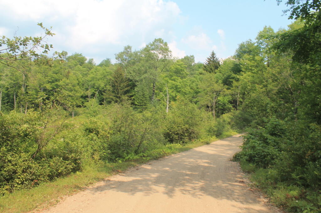 Photo: Whitehouse Road is in Perfect Shape Photo: Whitehouse Road is in Perfect Shape