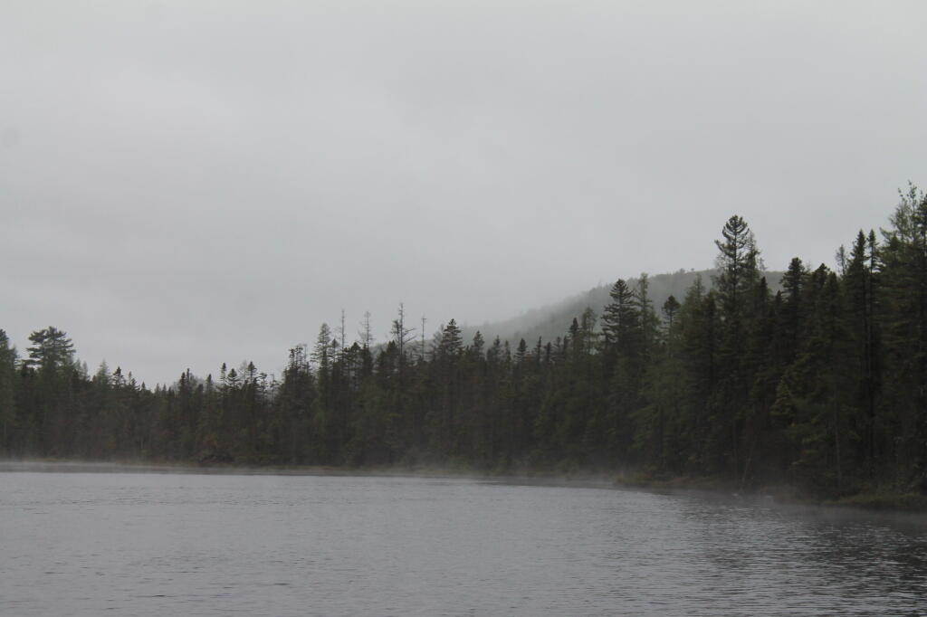 Photo: Fog on Mountain