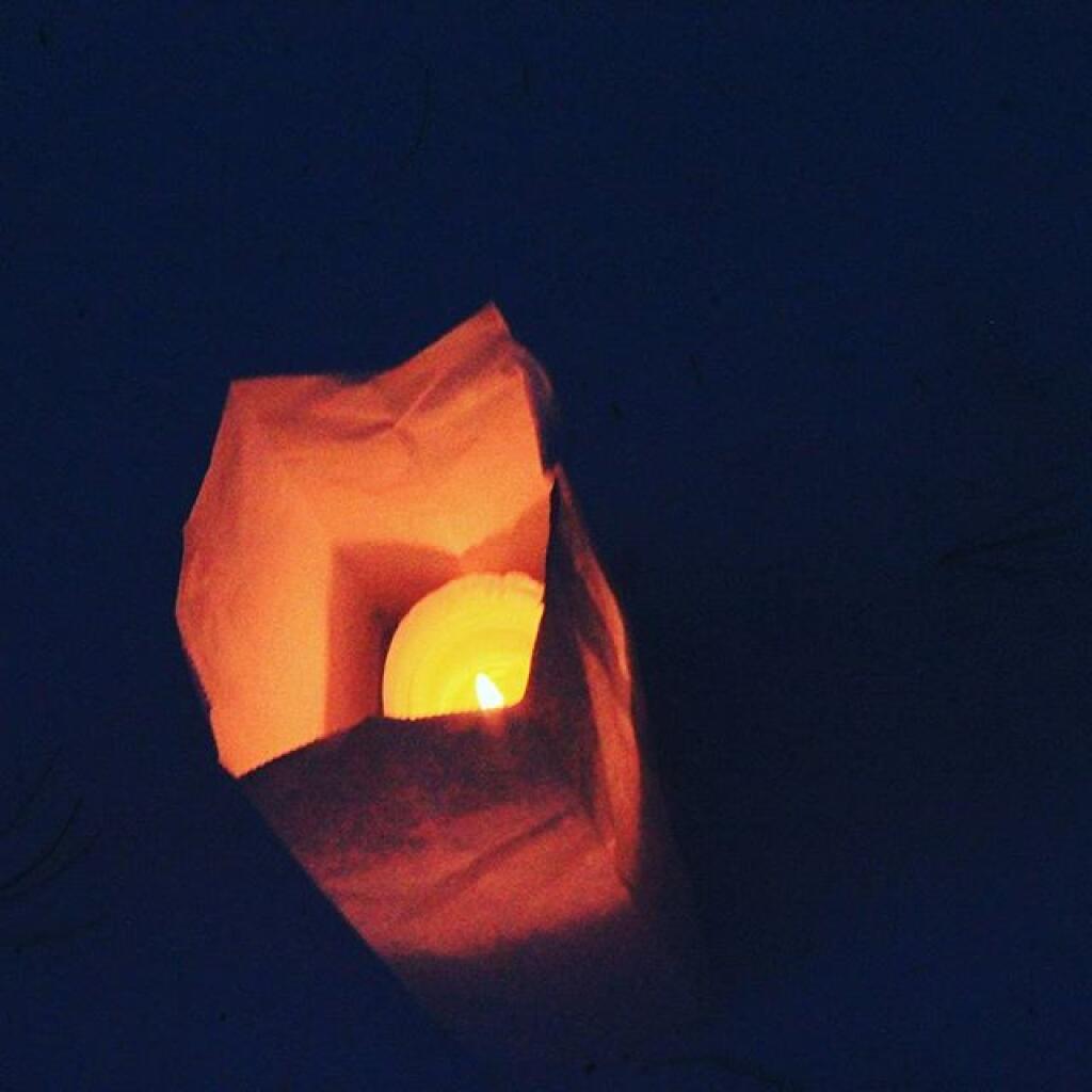 Photo: Lumiere keeps long dark nights bright