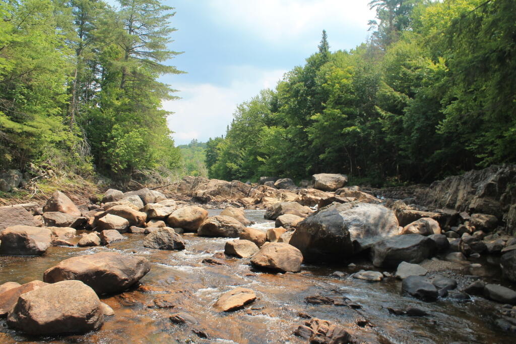 Photo: Very Dry East Branch