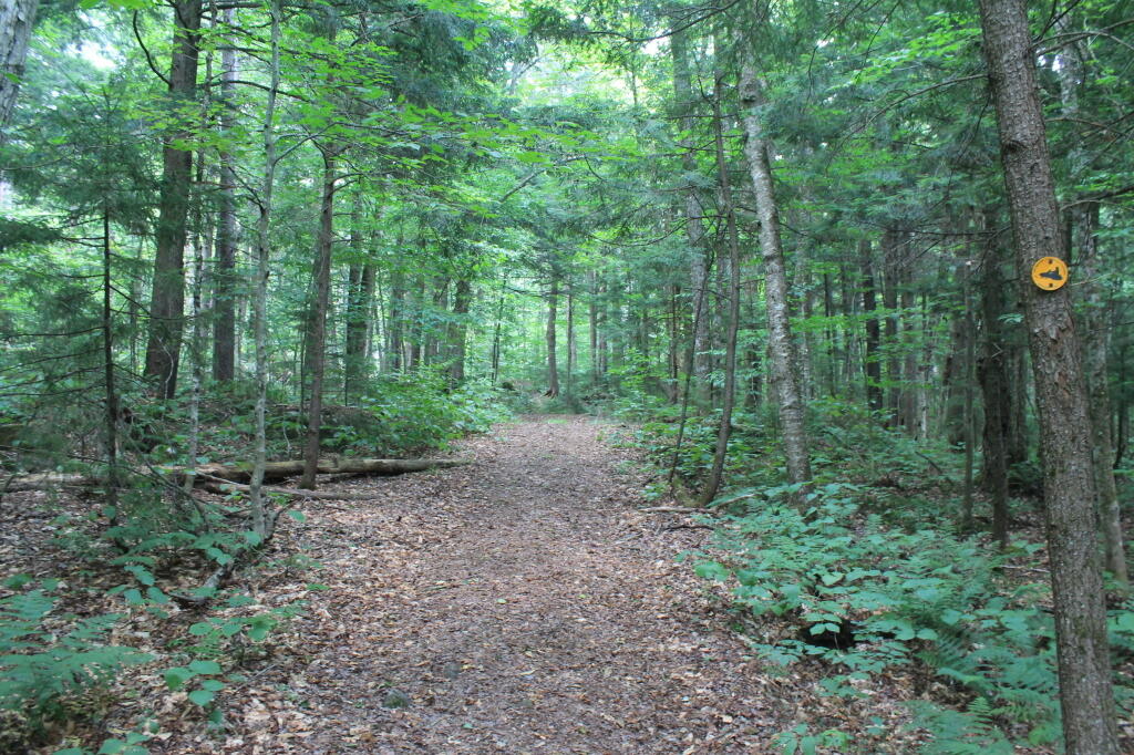 Photo: Auger Falls Snowmobile Trail Photo: Auger Falls Snowmobile Trail