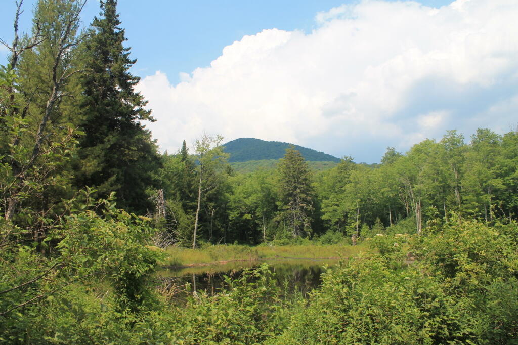 Photo: Buck Pond Mountain