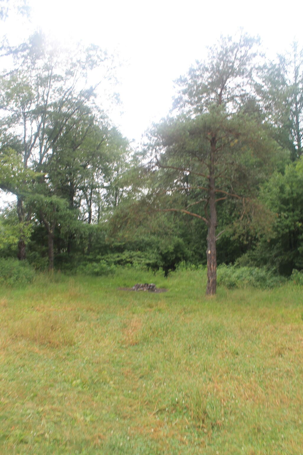 Photo: Whitehouse Field Campsite