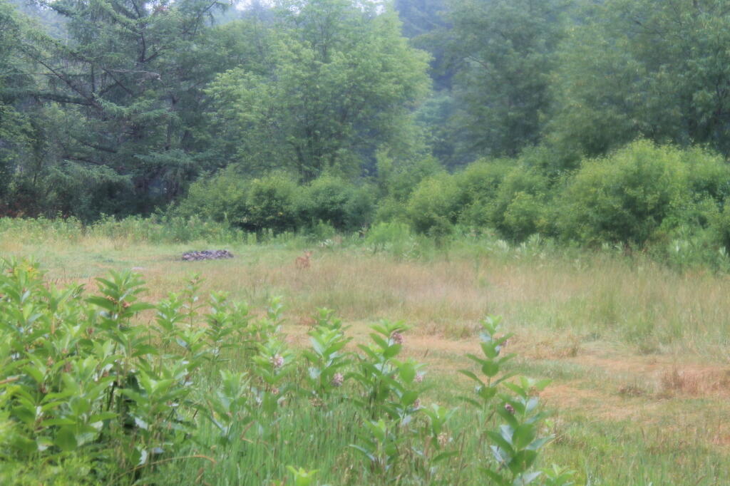 Photo: Field Campsite