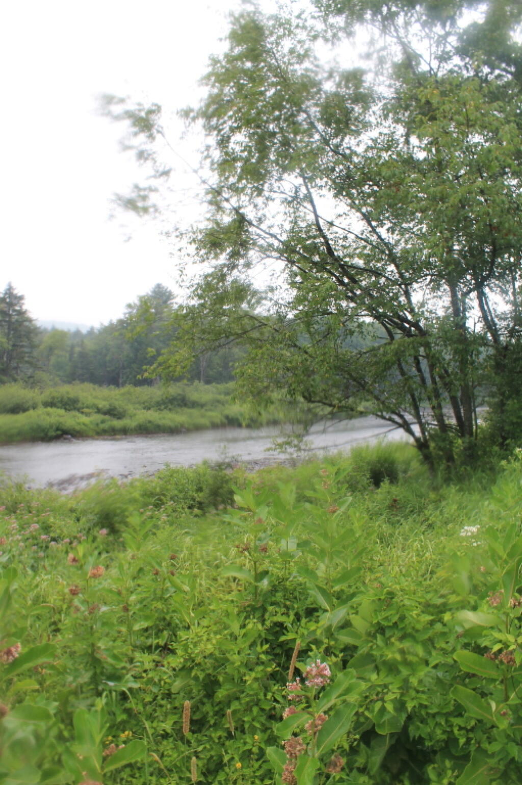 Photo: The West Branch