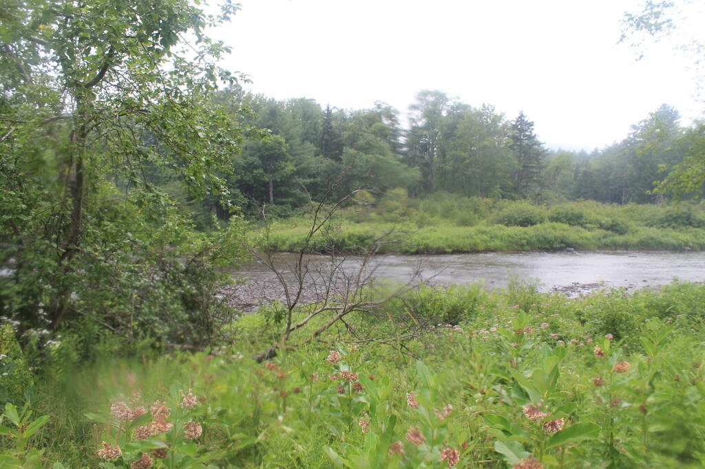 Photo: West Branch