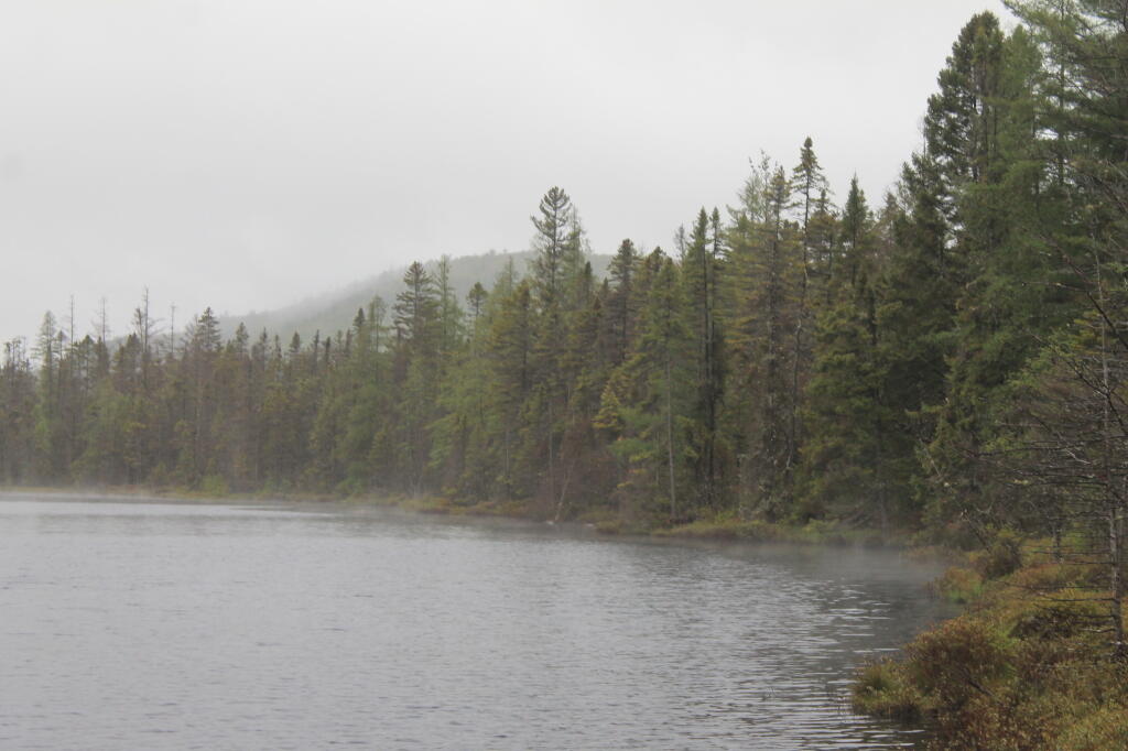 Photo: Fog Rises
