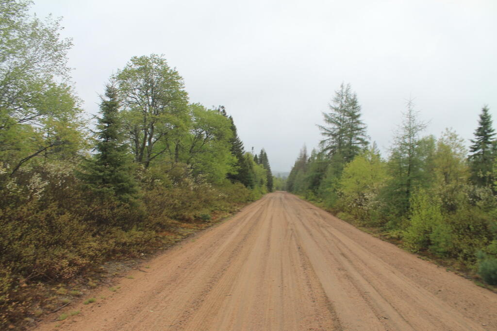 Photo: Cedar River-Limekiln Lake Road Near Helldiver Pond