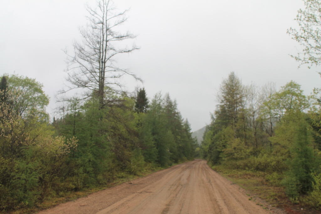 Photo: When Cedar River-Limekiln Lake Road Was Smooth