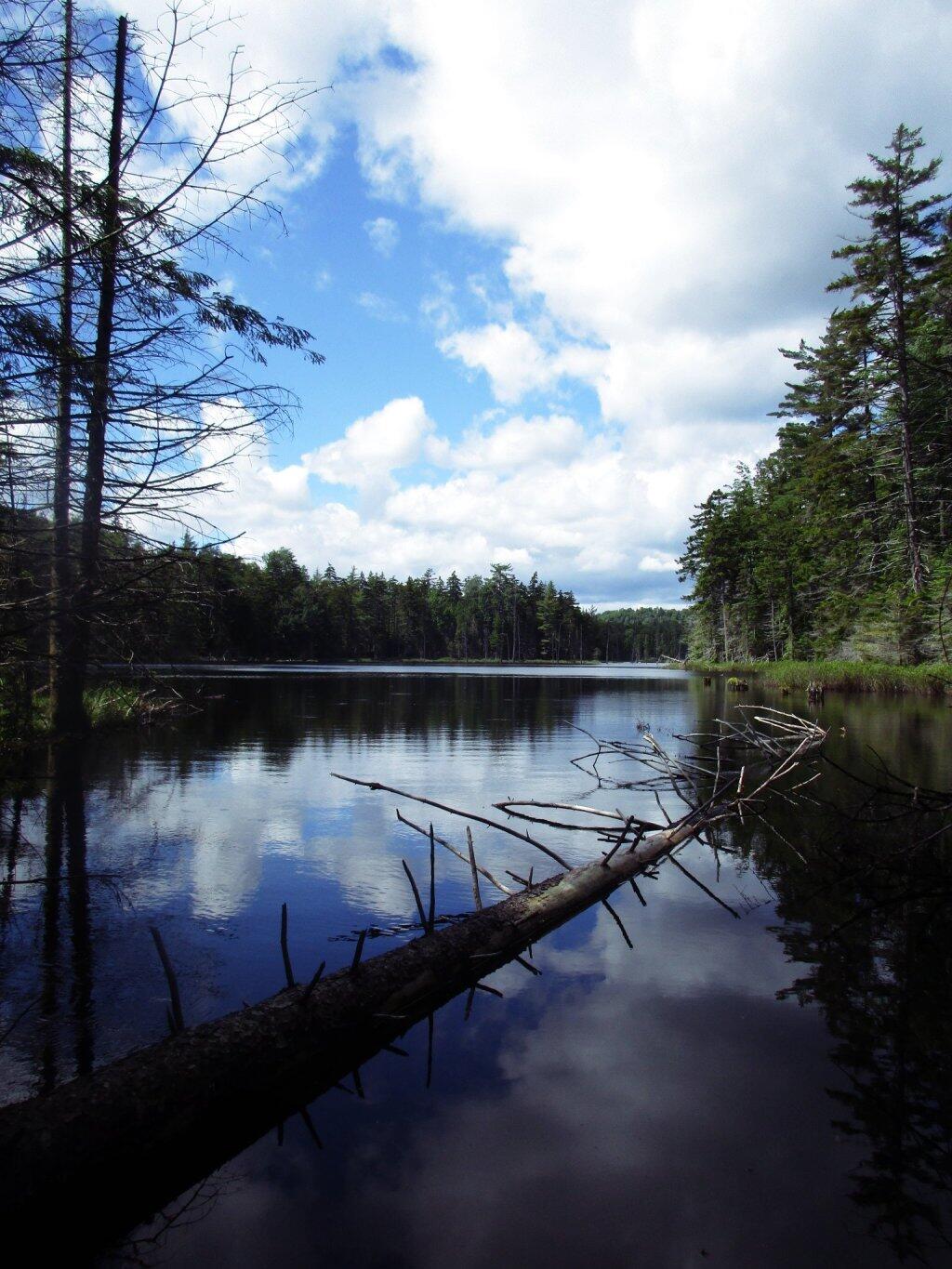 Photo: Chain Ponds