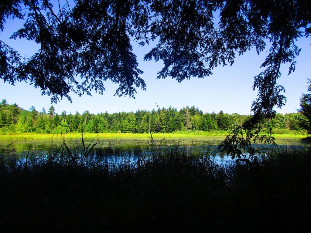 Photo: East Canada Creek Below Edick Road Ledge Photo: East Canada Creek Below Edick Road Ledge
