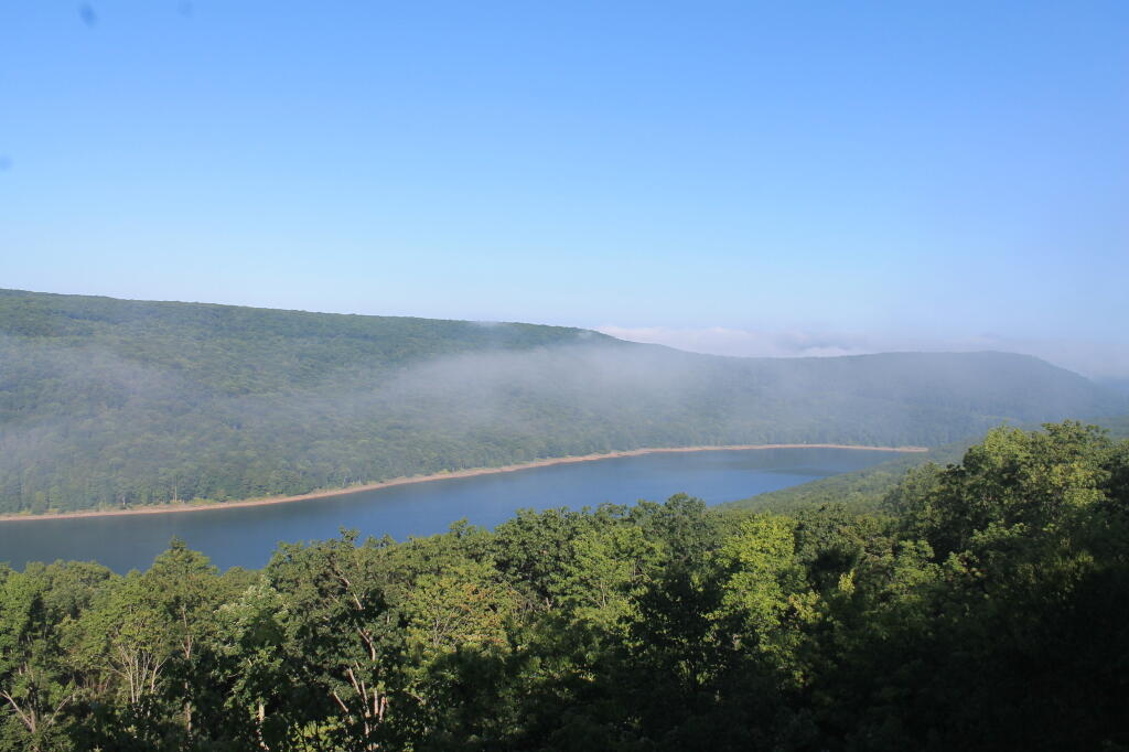 Photo: Fog Over the Reservior