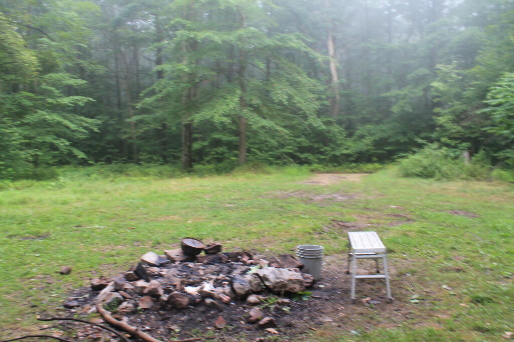 Photo: Foggy Wet Morning Out
