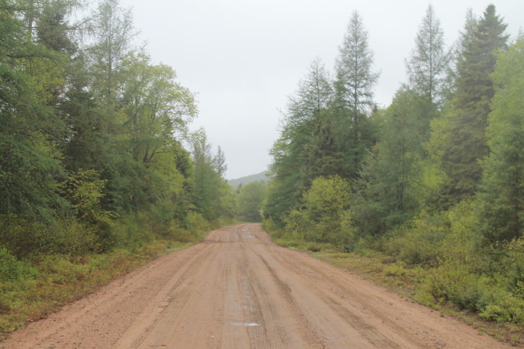 Photo: Only One Pothole