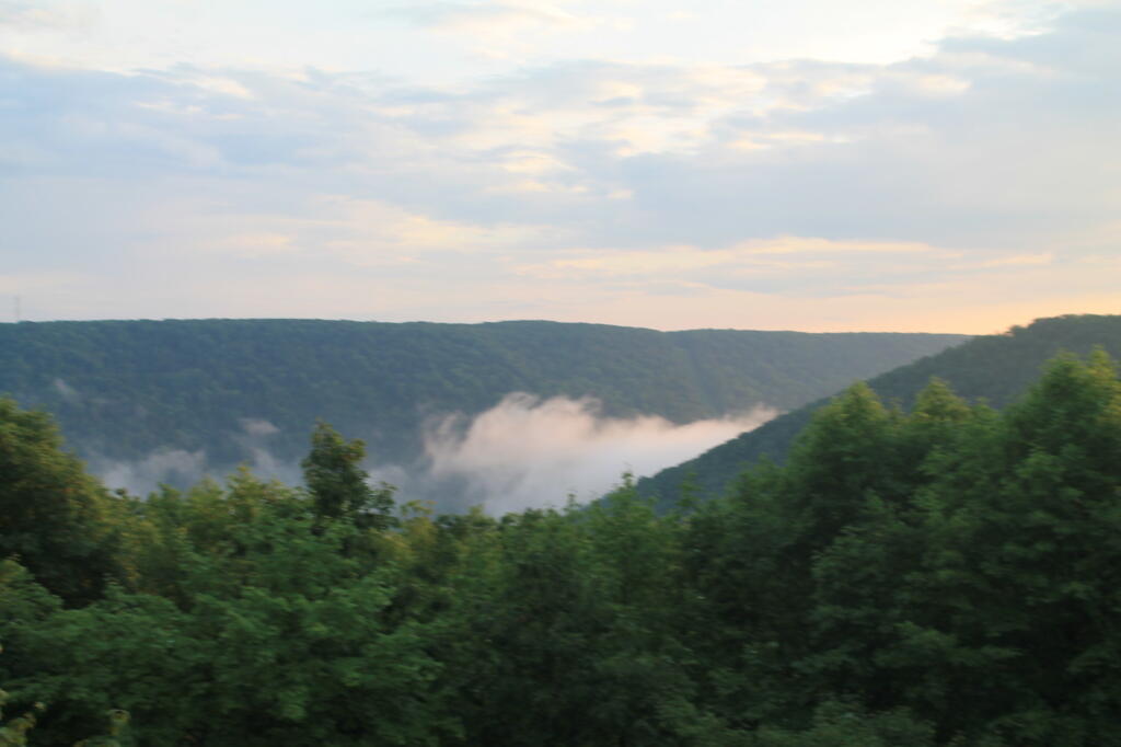 Photo: Fog in the Valley Photo: Fog in the Valley