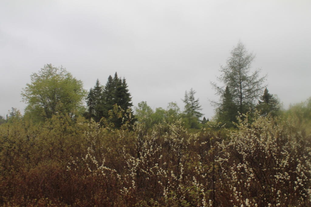 Photo: The Plains