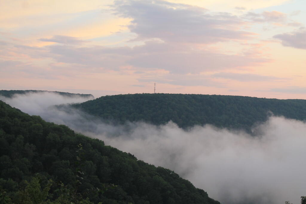 Photo: Radio Tower