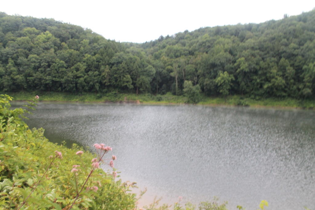 Photo: Tionesta Lake Photo: Tionesta Lake