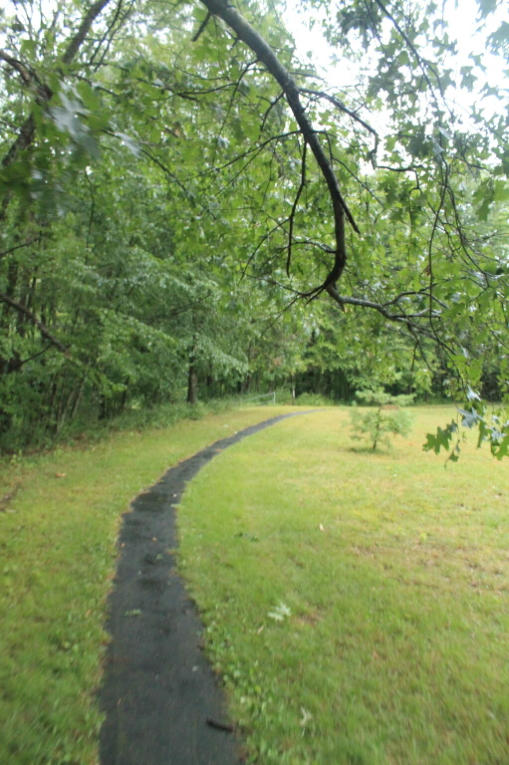 Photo: Tionesta Lake Trail Photo: Tionesta Lake Trail