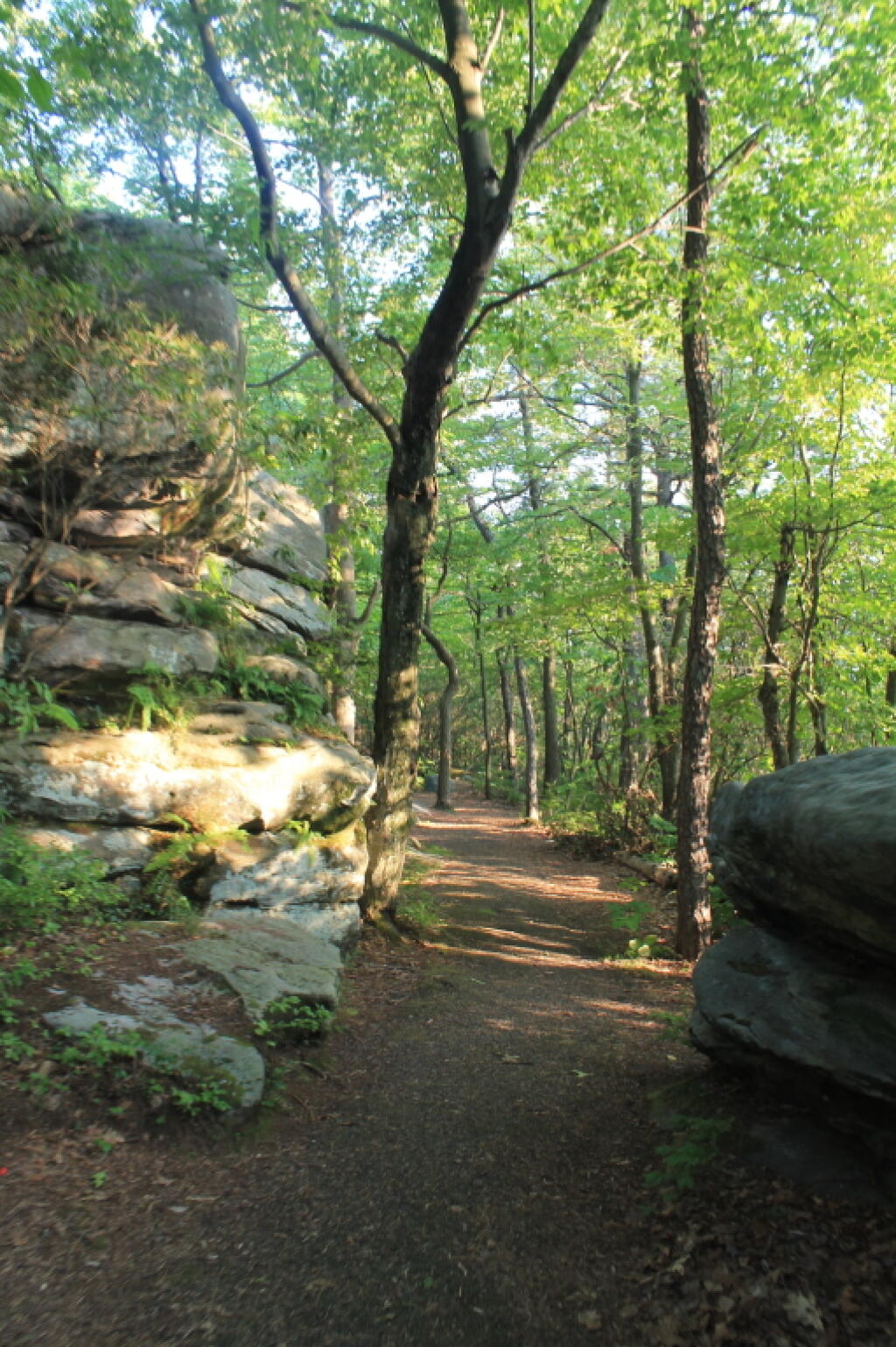 Photo: Wandering Along the Path Photo: Wandering Along the Path