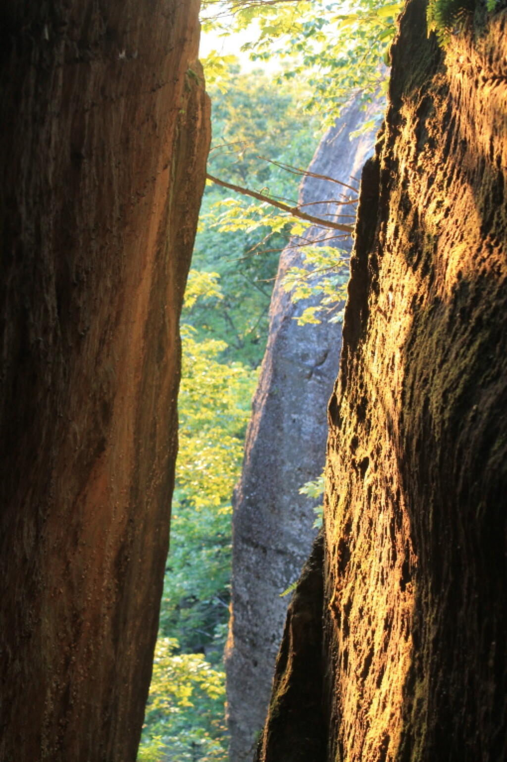 Photo: Play of Light