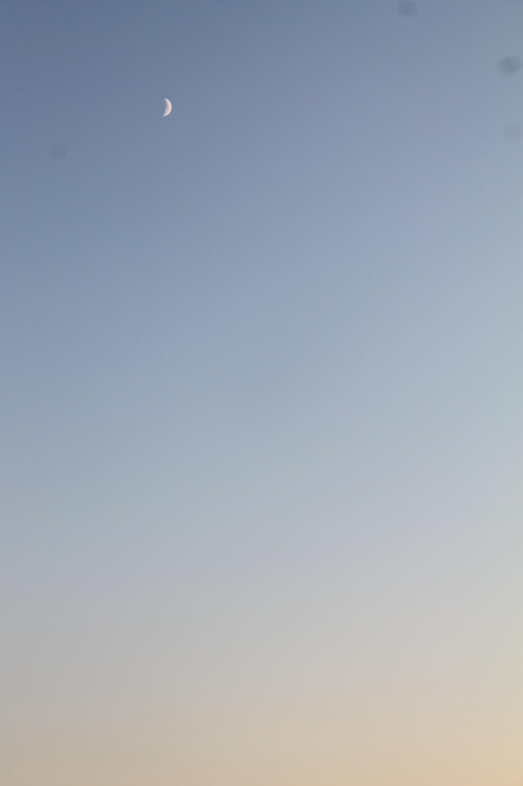 Photo: Moon Photo: Moon