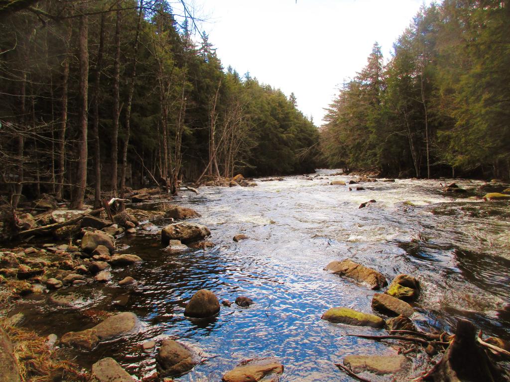 Photo: Sacandaga River Below Auger Falls Photo: Sacandaga River Below Auger Falls