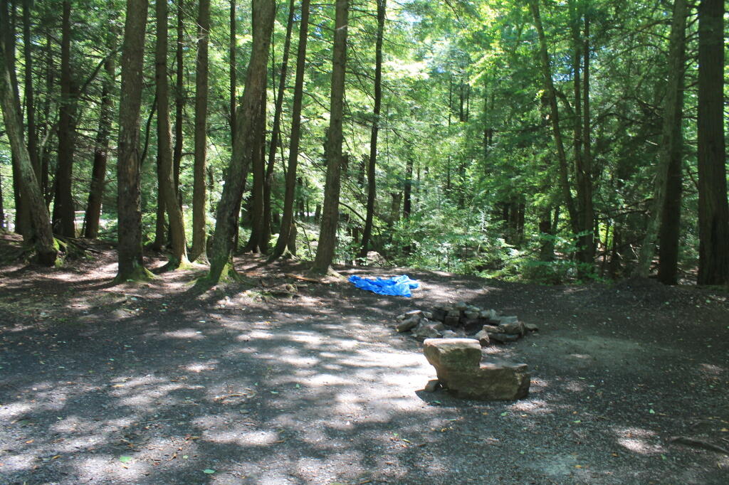 Photo: Tionesta Creek Campsite
