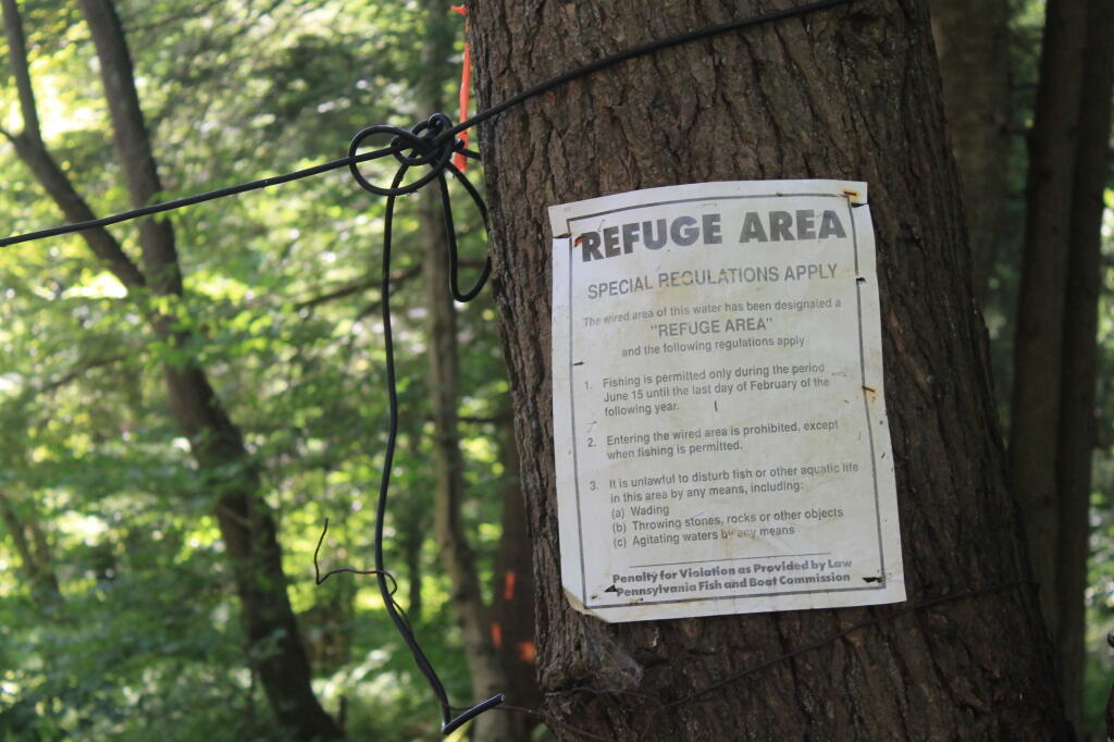 Photo: Refuge Area Photo: Refuge Area