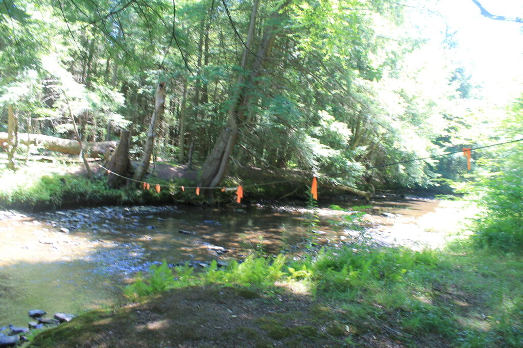 Photo: No Wading Past The Line