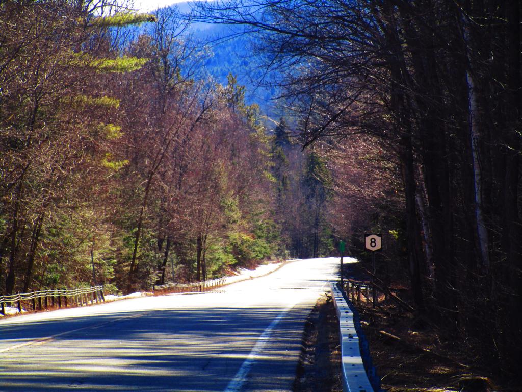 Photo: Riding Down Eleventh Mountain on NY 8 Was Fun Photo: Riding Down Eleventh Mountain on NY 8 Was Fun