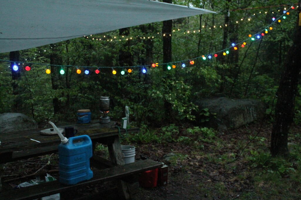 Photo: Festive in the Rain