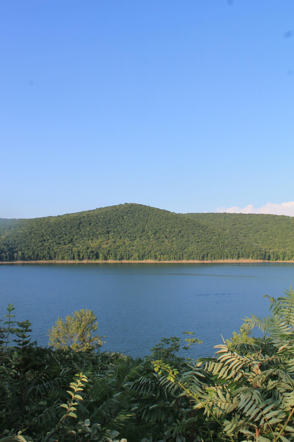 Photo: Kinzua Heights Photo: Kinzua Heights