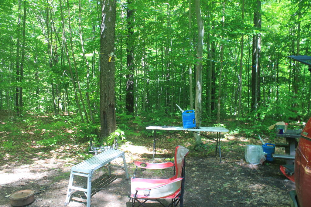 Photo: Camp Photo: Camp