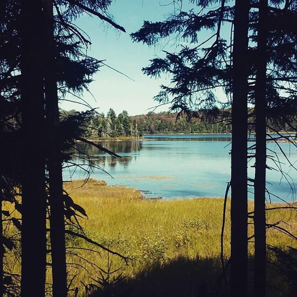 Photo: Shoreline