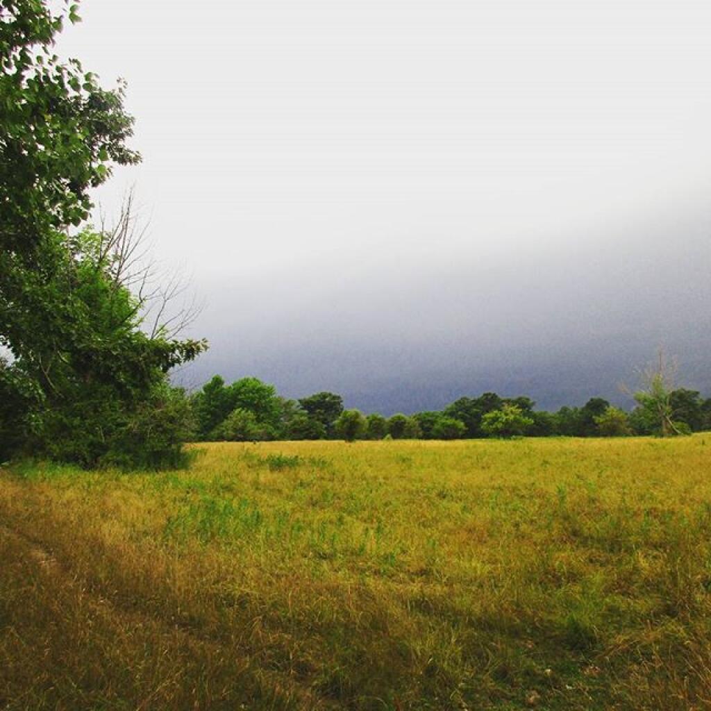 Photo: Before the storm Photo: Before the storm