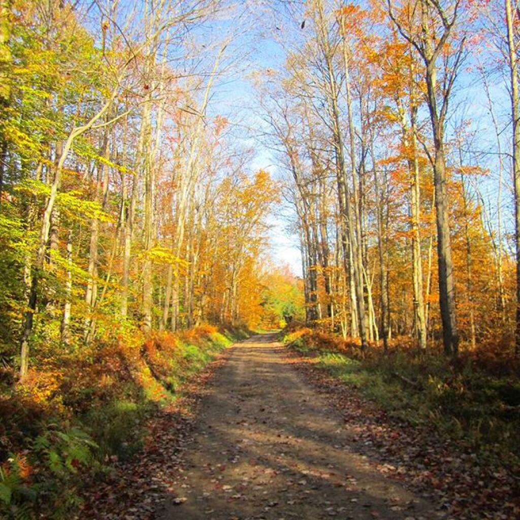 Photo: Loleta Grade