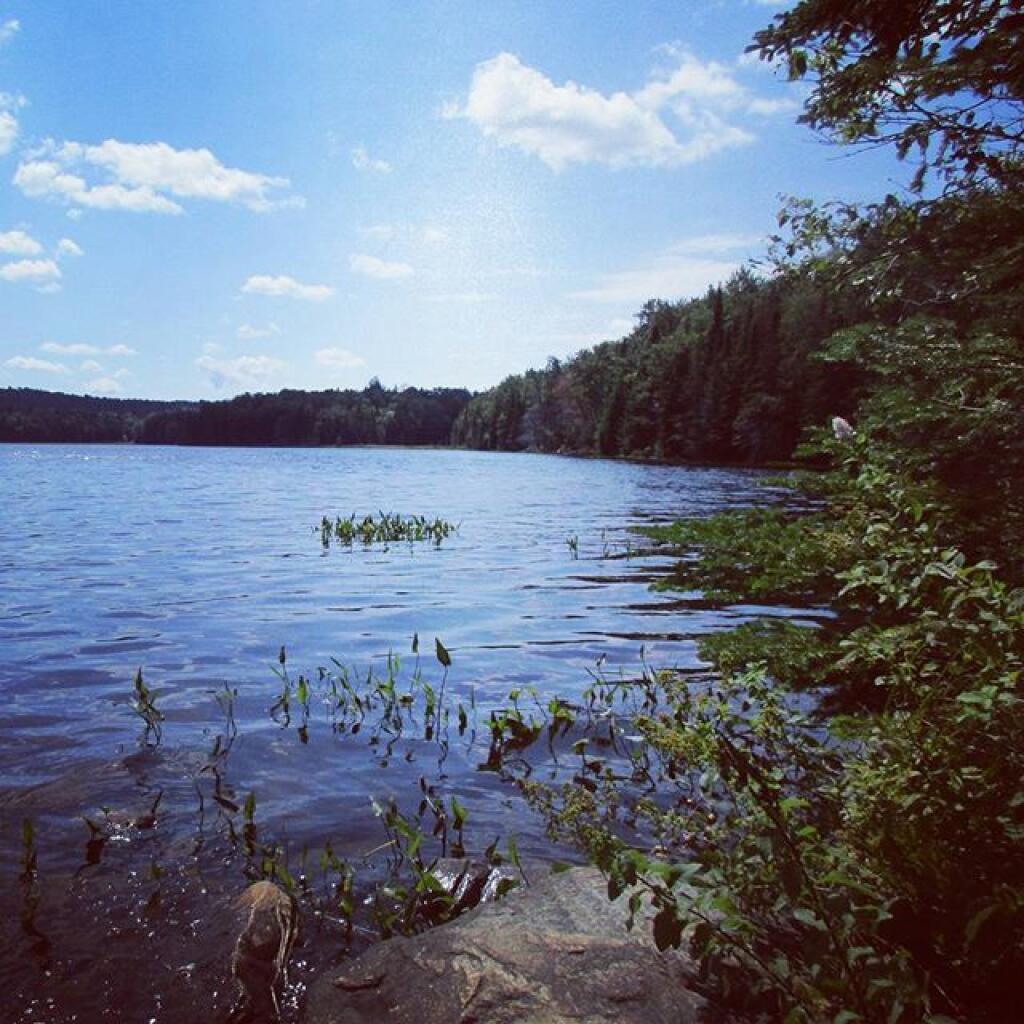 Photo: Sand Lake Photo: Sand Lake