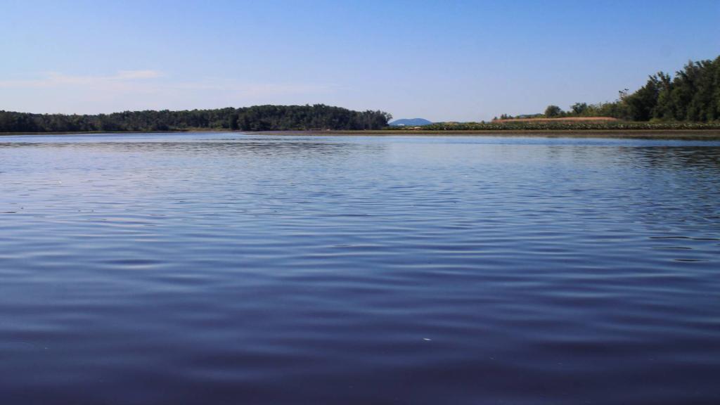 Photo: Marshes
