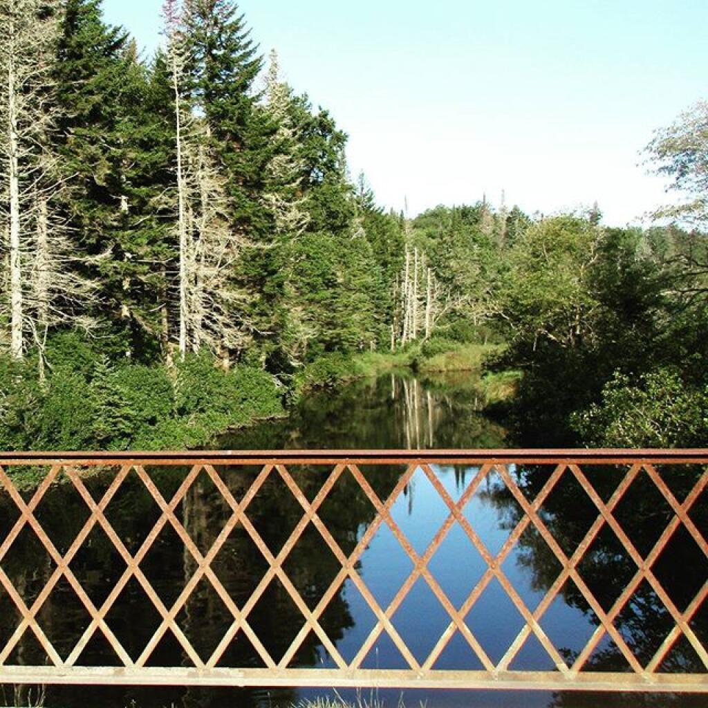 Photo: Powley Bridge Photo: Powley Bridge