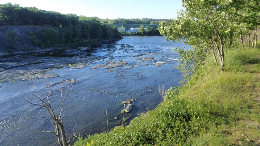 Photo: Low head dam