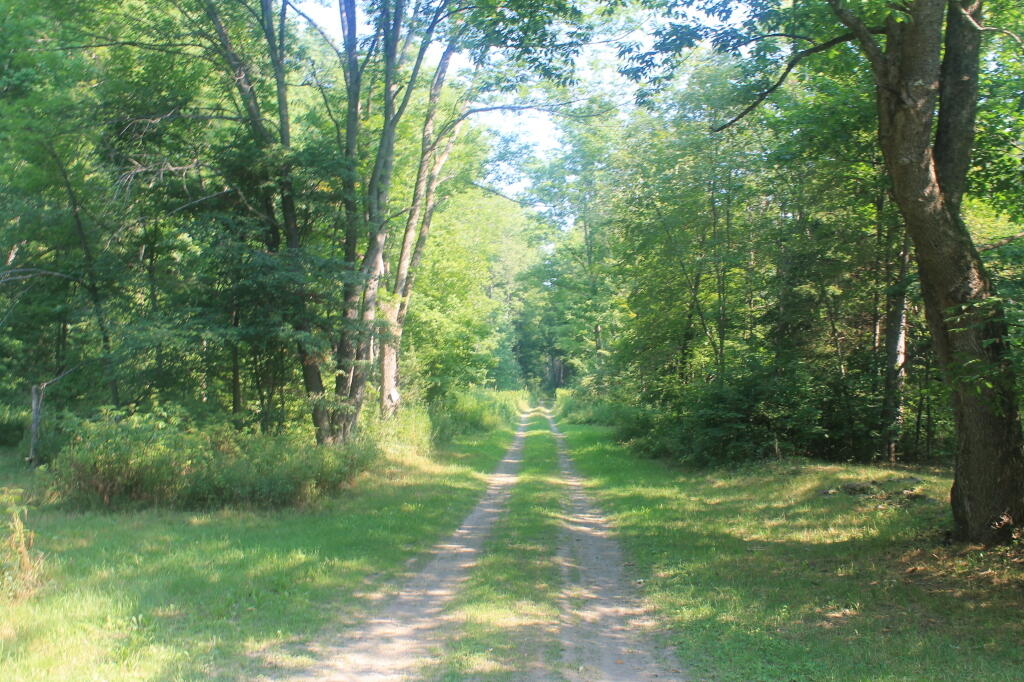Photo: Betty Brook Road Photo: Betty Brook Road