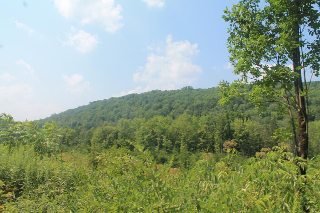 Photo: Burnt Hill Photo: Burnt Hill