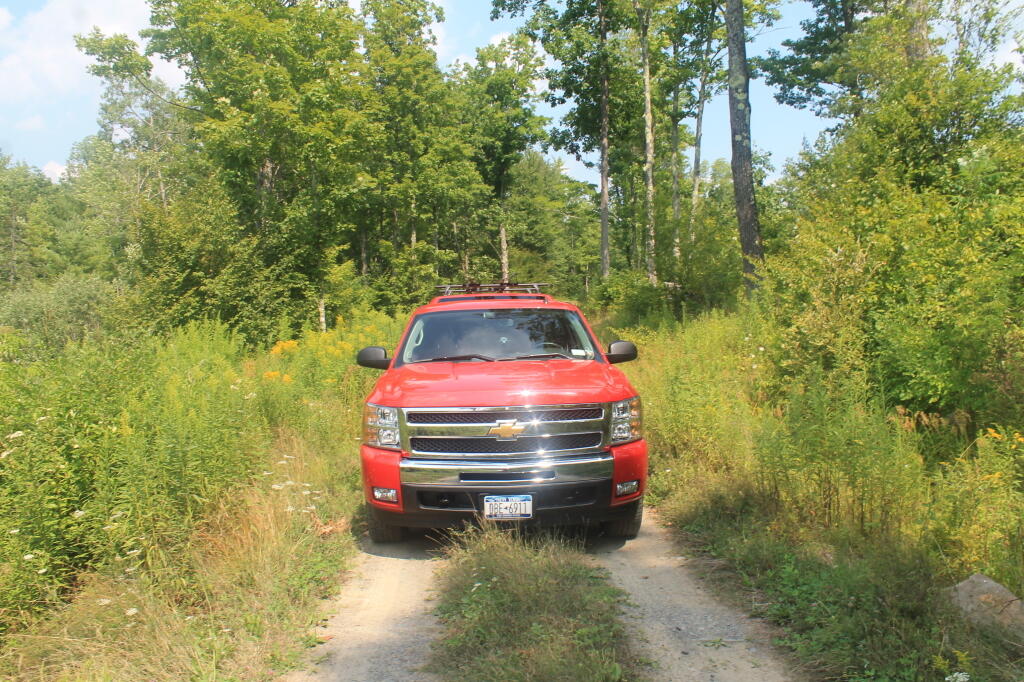 Photo: Big Trail Narrow Truck Trail Photo: Big Trail Narrow Truck Trail