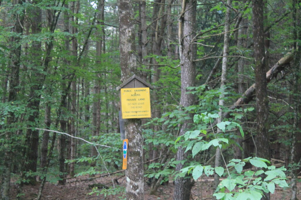 Photo: Easement Road