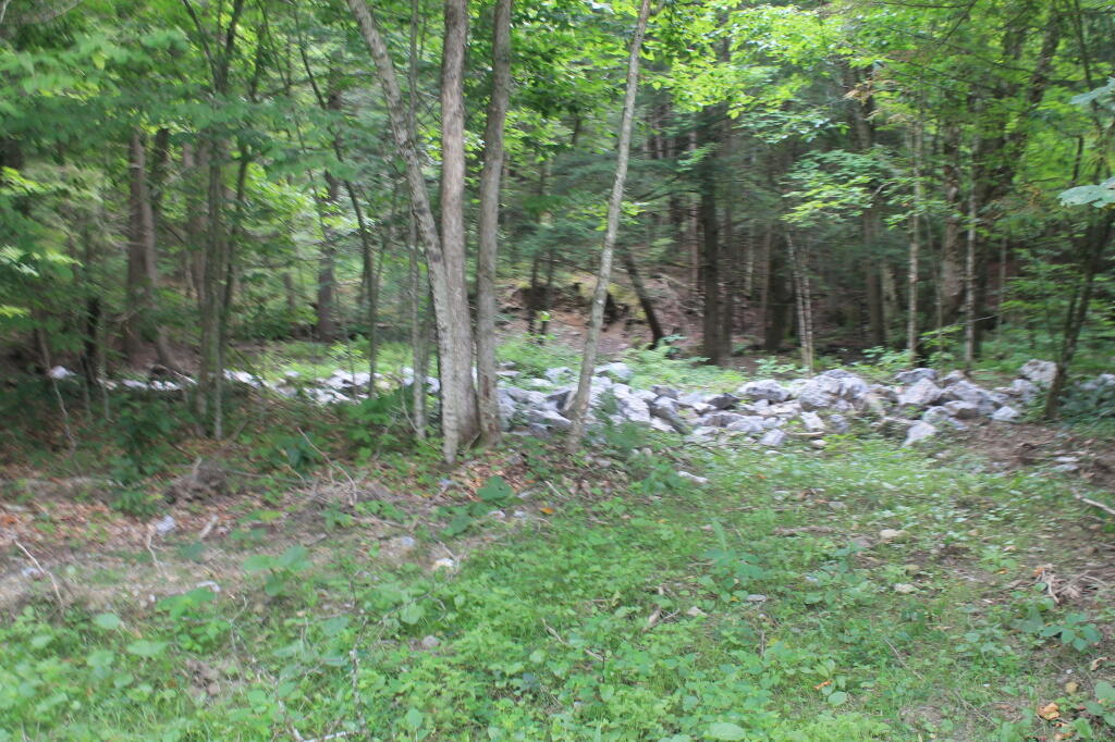 Photo: New Levy Post Irene Photo: New Levy Post Irene